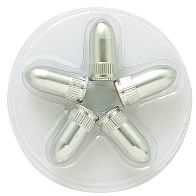 BOUCHONS DE VALVES CYLINDRIQUES ARGENT 5PCS
